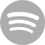 Icon Spotify